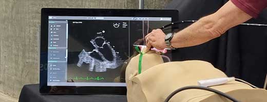 Critical Care TEE Course